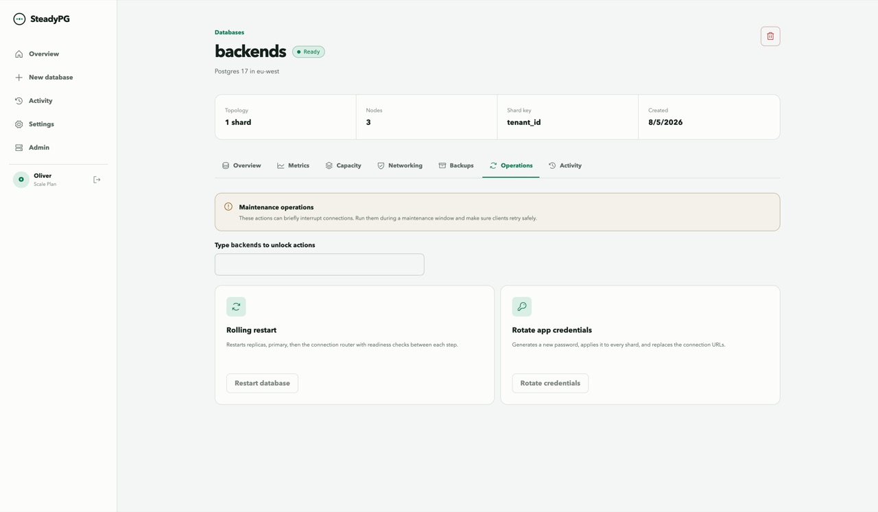 SteadyPG: Building a Self-Service Managed PostgreSQL Platform screenshot 2